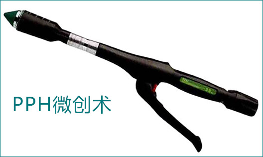 用于治疗Ⅱ-Ⅳ度重痔